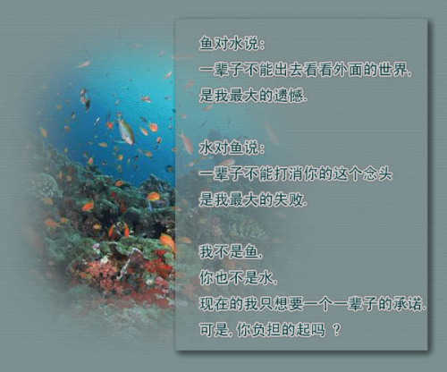 点击在新窗口中查看