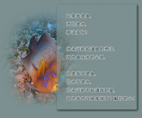 点击在新窗口中查看