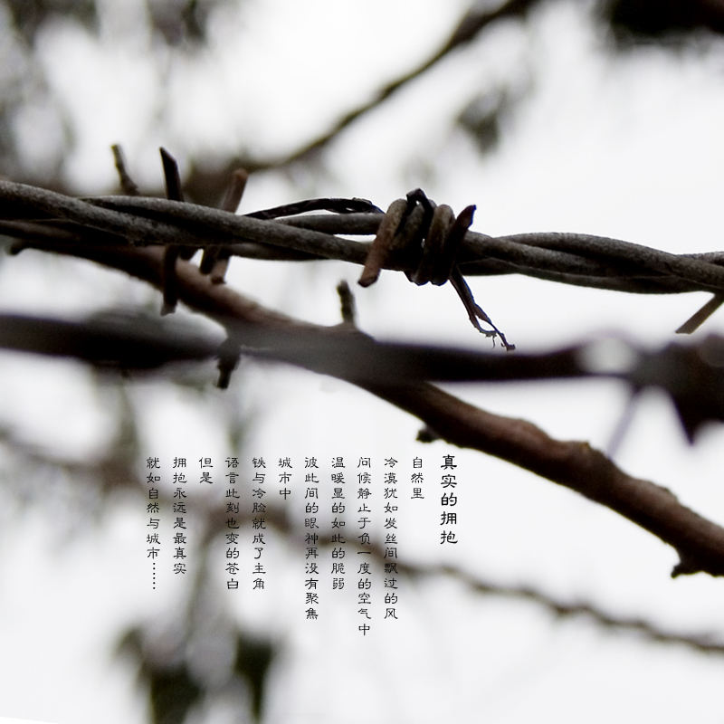 点击在新窗口中查看