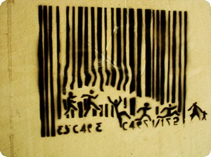 点击在新窗口中查看