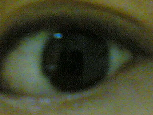 点击在新窗口中查看