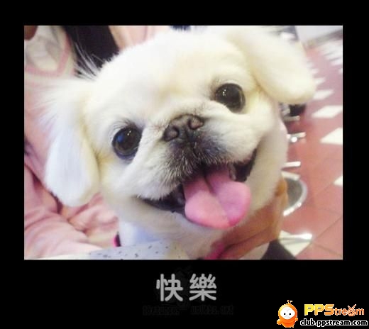 点击在新窗口中查看
