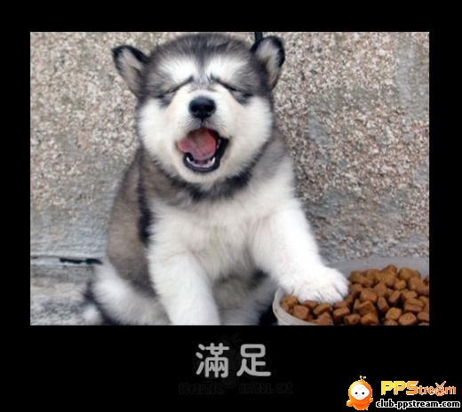 点击在新窗口中查看