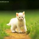 点击在新窗口中查看
