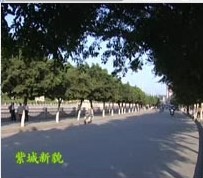 点击在新窗口中查看