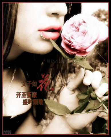 点击在新窗口中查看