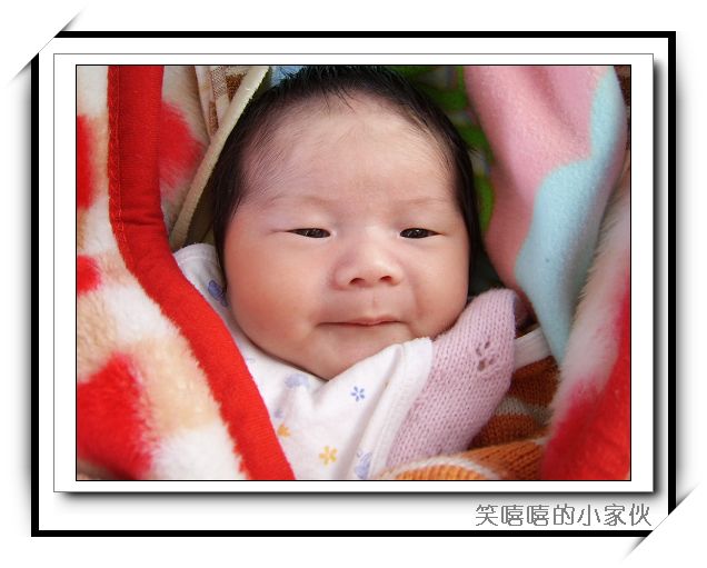 点击在新窗口中查看