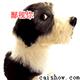 http://blog.5d.cn/user31/junjunjunjun/upload/2007-02/s_2007-2-14125323_1_.gif