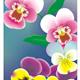 标题:CorelDRAW--花坛 
发布时间:2007-3-24 16:58:00