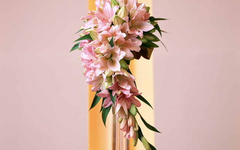 鲜花壁纸由http://www.milany.net提供
