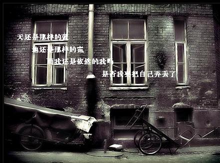 点击在新窗口中查看