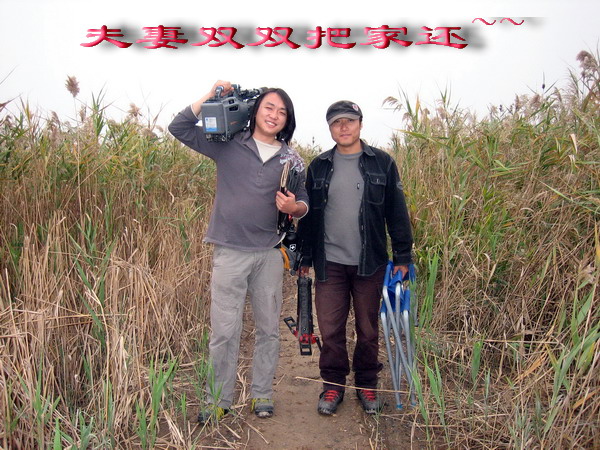 点击在新窗口中查看
