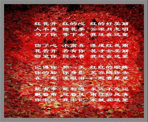 点击在新窗口中查看